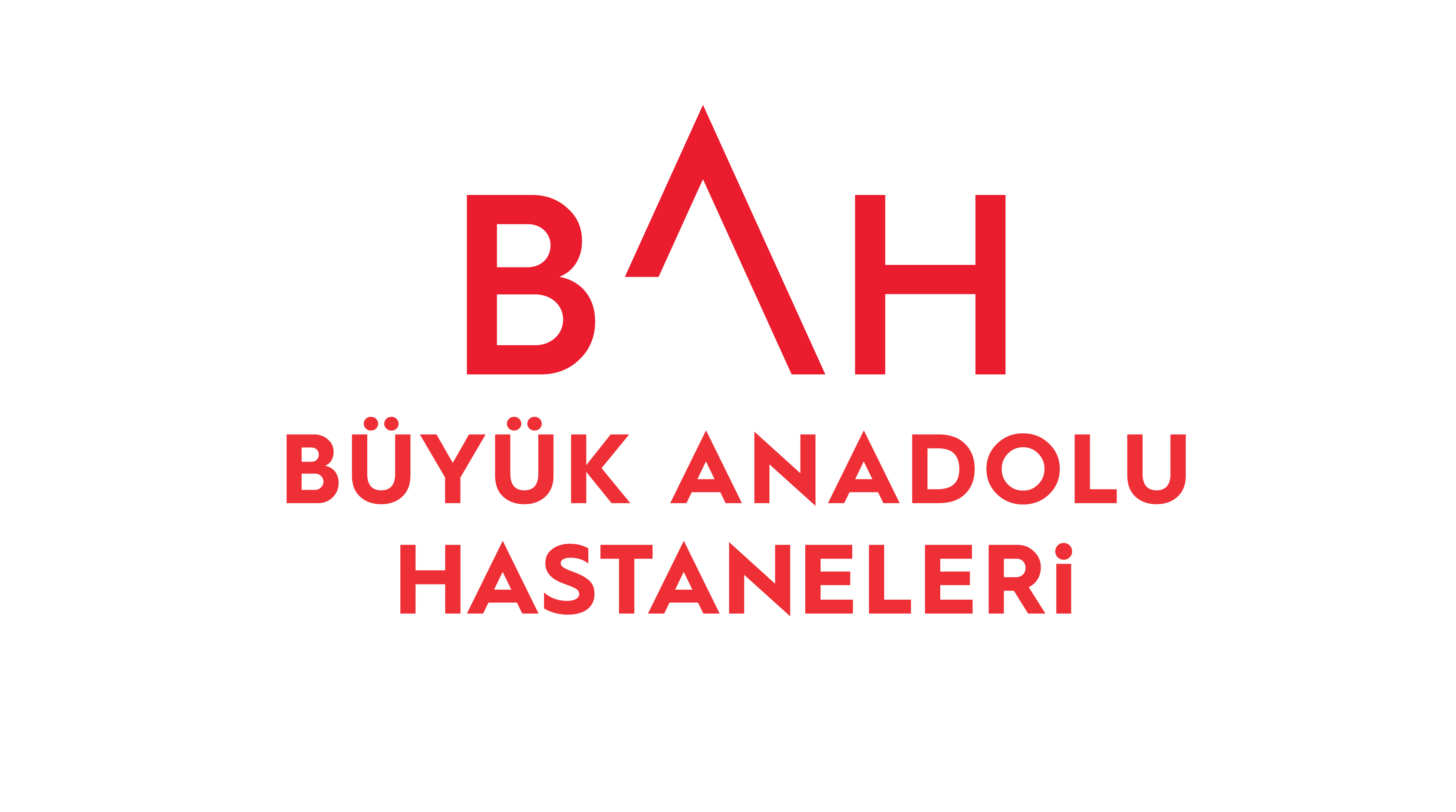 Proje 1